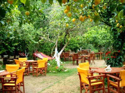 Lemon Garden Acharavi Korfu